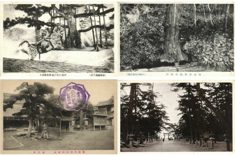 JAPAN JAPON ASIE ASIA TREES 150 CPA Pre-1950 (L2402)