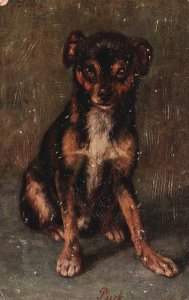 Vintage Postcard Portrait Sitting Dog Animal Erpaco Kunstverlag Hamburg Artwork