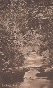Wetton Mill Bridge Staffordshire Tucks Oilette Staffs Antique Postcard