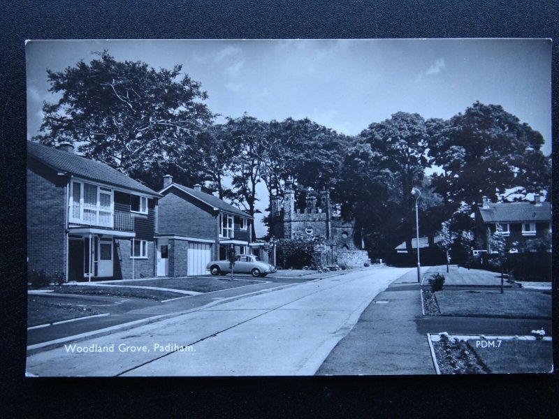 Lancashire Burnley Pendle Hill PADIHAM Woodland Grove c1970s RP Postcard