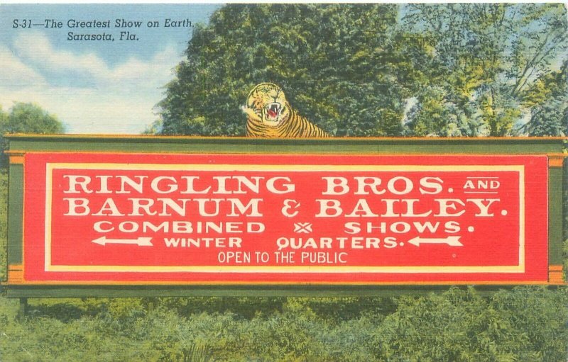 Sarasota FL Ringling Bros Barnum & Bailey Billboard, Tiger Linen Postcard Unused