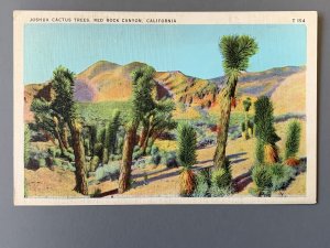 Joshua Cactus Trees Red Rock Canyon CA Linen Postcard A1154091032