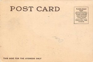 In a Bad Fix Cat Postcard