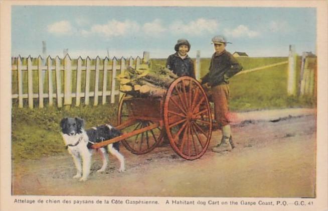 Canada Gaspe Habitant Dog Cart On The Gaspe Coast