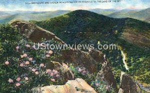 Greybeard & Motor Road - Pinnacle, North Carolina NC Postcard