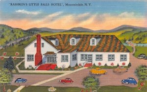 Rashkin's Little Falls Hotel Mountaindale, New York