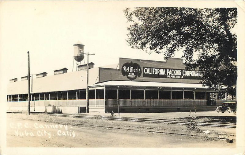 RPPC YUBA CITY, CA~ Del Monte CALIFORNIA PACKING CO. CANNERY c1930s Postcard 