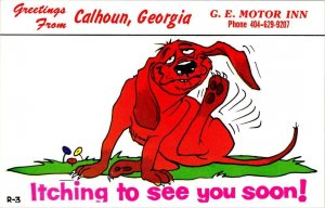 Calhoun, GA Georgia G.E. MOTOR INN Roadside Motel Advertising ITCHY DOG Postcard