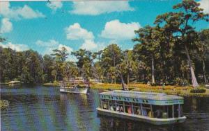 Florida Silver Springs Glass Bottom Boat