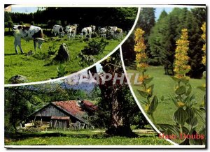 Modern Postcard Images of Besancon Franche Comte Doubs Haut Doubs Aspects nea...