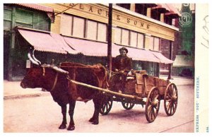 Oxpress Not Southern