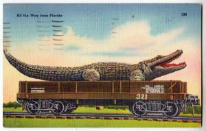 BIG Alligator on Railroad Car, Florida