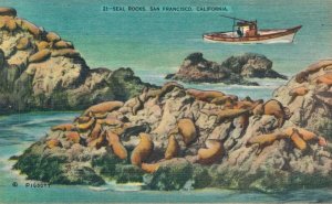 USA Seal Rocks San Francisco California Linen Postcard 08.31