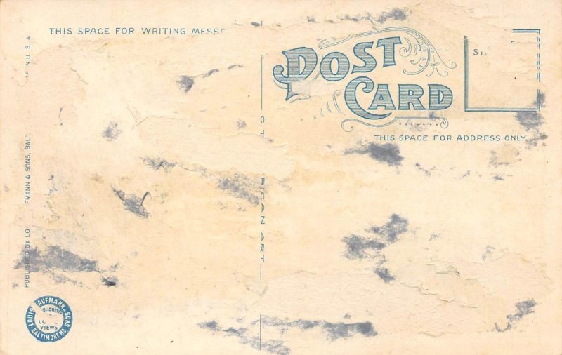 CHAMBERLIN GOLF CLUB Phoebus, Virginia Elizabeth City Co c1920s Vintage Postcard