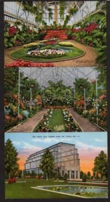 MO Lot 6 Jewel Box Forest Pk ST LOUIS MISSOURI Postcard