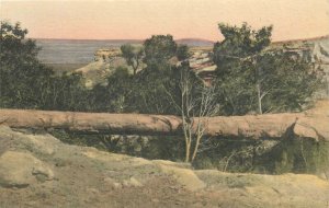 Postcard 1930s Adamana Arizona Petrified Forest Natural Bridge Albertype 24-6703