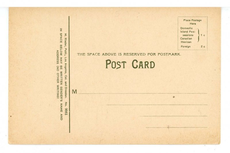 CA - Venice. The Midway & Amusement Park ca 1908