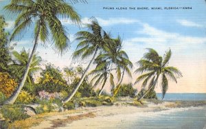 Palms Along the Shore, FL, USA Miami, Florida