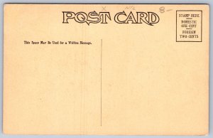 K25/ Silverton Colorado Postcard c1930 Green Street Stores Mountains 158