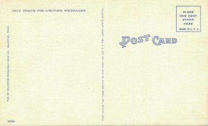 USA Hell In Texas Linen Postcard 07.50