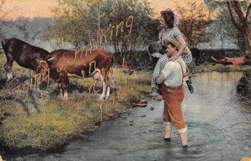 Barclay Maryland Greetings Cow Milking Vintage Postcard JE228268