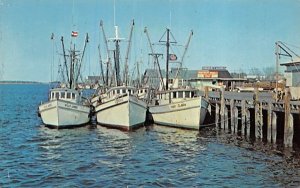 Shrimp Boats Fernandina Beach, Florida