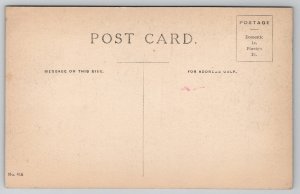 Art Nouveau Pretty Lady in Pink Woodland Nymph Artist M. Greiner Postcard L37