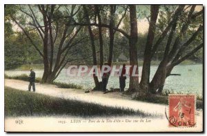 Old Postcard Lyon Parc de la Tete Now A view of the Lake