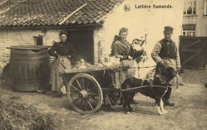 belgium, Laitière Flamande, Flemish Milk Cart, Dogcart, Dairy (1924) Postcard