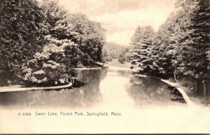 Massachusetts Springfield Forest Park Swan Lake Rotograph