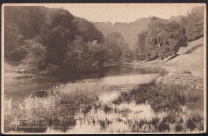 Sussex Postcard - Swanbourne Lake, Arundel Park   DP237