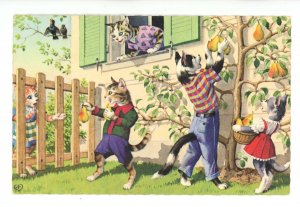 Mainzer Dressed Cats - Picking Pears
