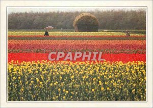 Postcard Old KUID Holland Tupenculturur site name van smooth