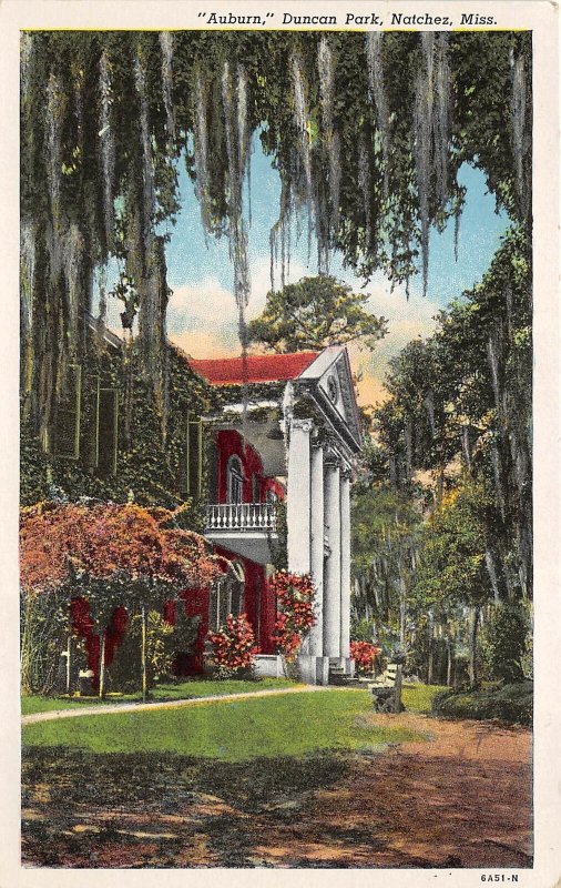 Natchez Mississippi 1940s Postcard Auburn Mansion Duncan Park 