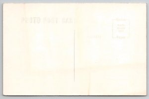 Idaho RPPC Trail In The Shadows Mt Heyburn Sawtooth Mts ID Photo Postcard V21