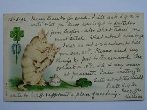 Greetings LUCKY PIG, 4 Leaf Clover & Horseshoe 50000 c1902 Postcard by MSB 12949