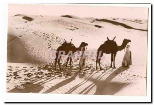 Morocco Old Postcard Crossing the dunes (dromedary camel)