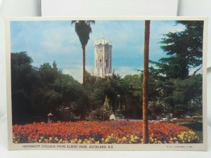 Vintage Postcard University College from Albert Park Auckland NZ