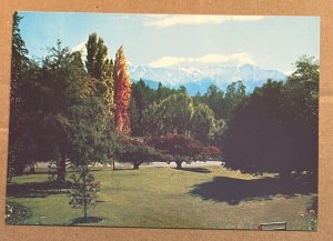 UNUSED POSTCARD - WALTER PEAK STATION, QUEENSTOWN, NEW ZEALAND