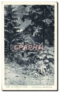 Jura Winter - Frost on Trees - Old Postcard