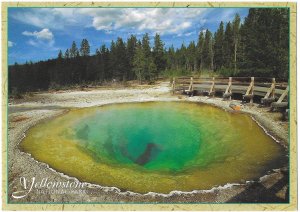 Morning Glory Pool Upper Geyser Basin Yellowstone National Park Wyoming 4 by 6