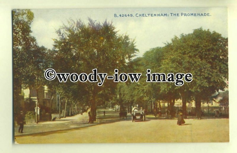 tp0388 - Glouc'shire - Early View down the Promenade, in Cheltenham - Postcard