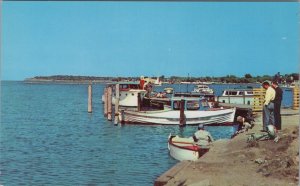 America Postcard -New York, Harbor & Yacht Club Dunkirk on Lake Erie RS35646