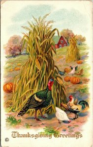 Embossed Vintage Postcard Thanksgiving Turkey Chickens Rooster Pumpkins 1920 R2