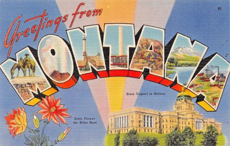 5 LARGE LETTER POSTCARDS 1940s WASHINGTON-COLORADO-IDAHO-MICHIGAN-MONTANA