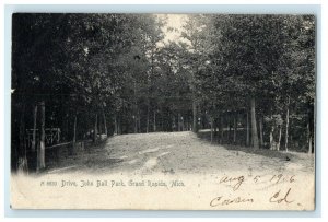 1906 View Of Drive John Ball Park Grand Rapids Michigan MI Rotograph Postcard