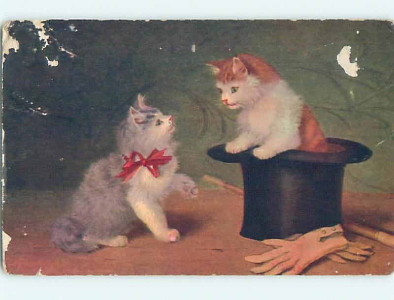 Surface Wear 1910 CUTE KITTEN CAT PLAYS IN TOPHAT n0374