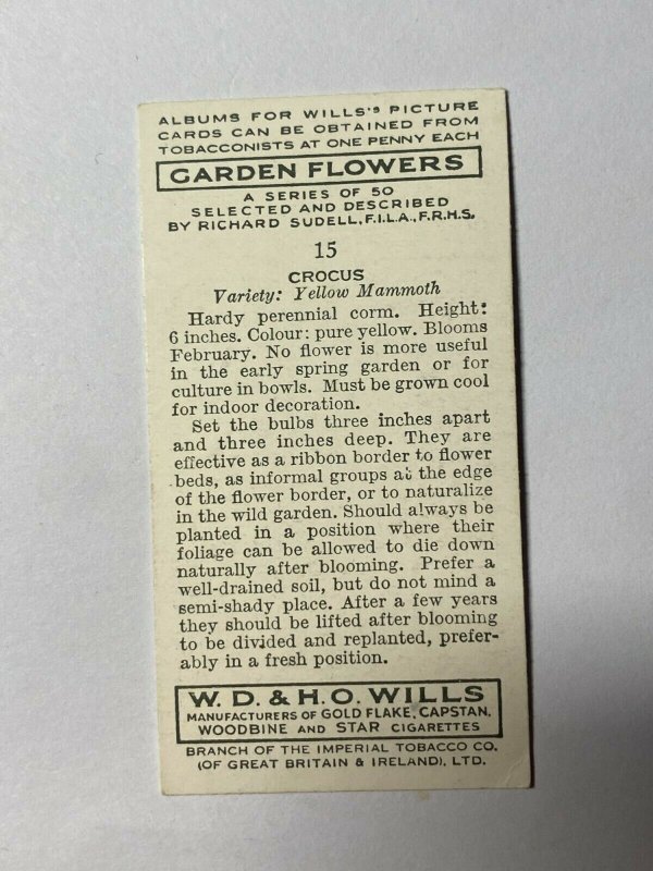 CIGARETTE CARD - WILLS GARDEN FLOWERS #15 CROCUS YELLOW MAMMOTH   (UU322) 