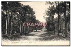 Old Postcard Arcachon seen in the Dunes