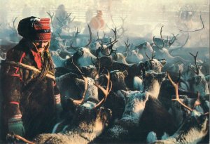 Postcard Finland Lapland ethnic types and scenes traditional clothing reindeers